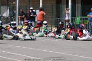 20110501_ales_agnus (2444)